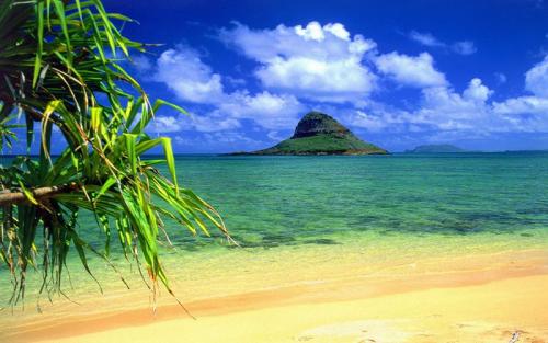 Paradise Hawaii Tours/夏威夷樂天旅游/大环岛经典一日游含虾饭