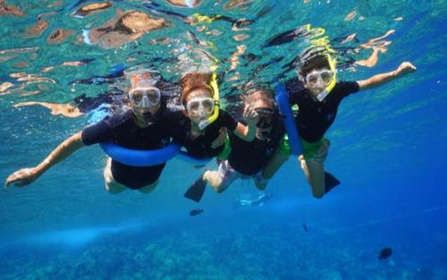 Paradise Hawaii Tours/夏威夷樂天旅游 -夏威夷茂宜岛半月湾浮潜/Molokini Snorkeling