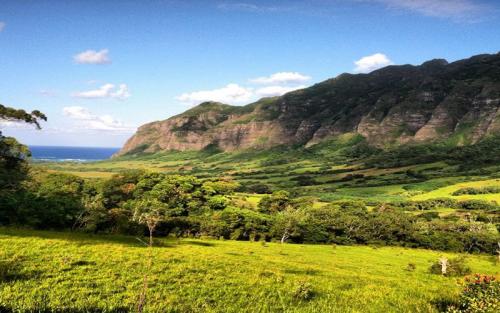 Paradise Hawaii Tours/夏威夷樂天旅游 -Kualoa Ranch/古兰尼牧场/高空滑索/zipline